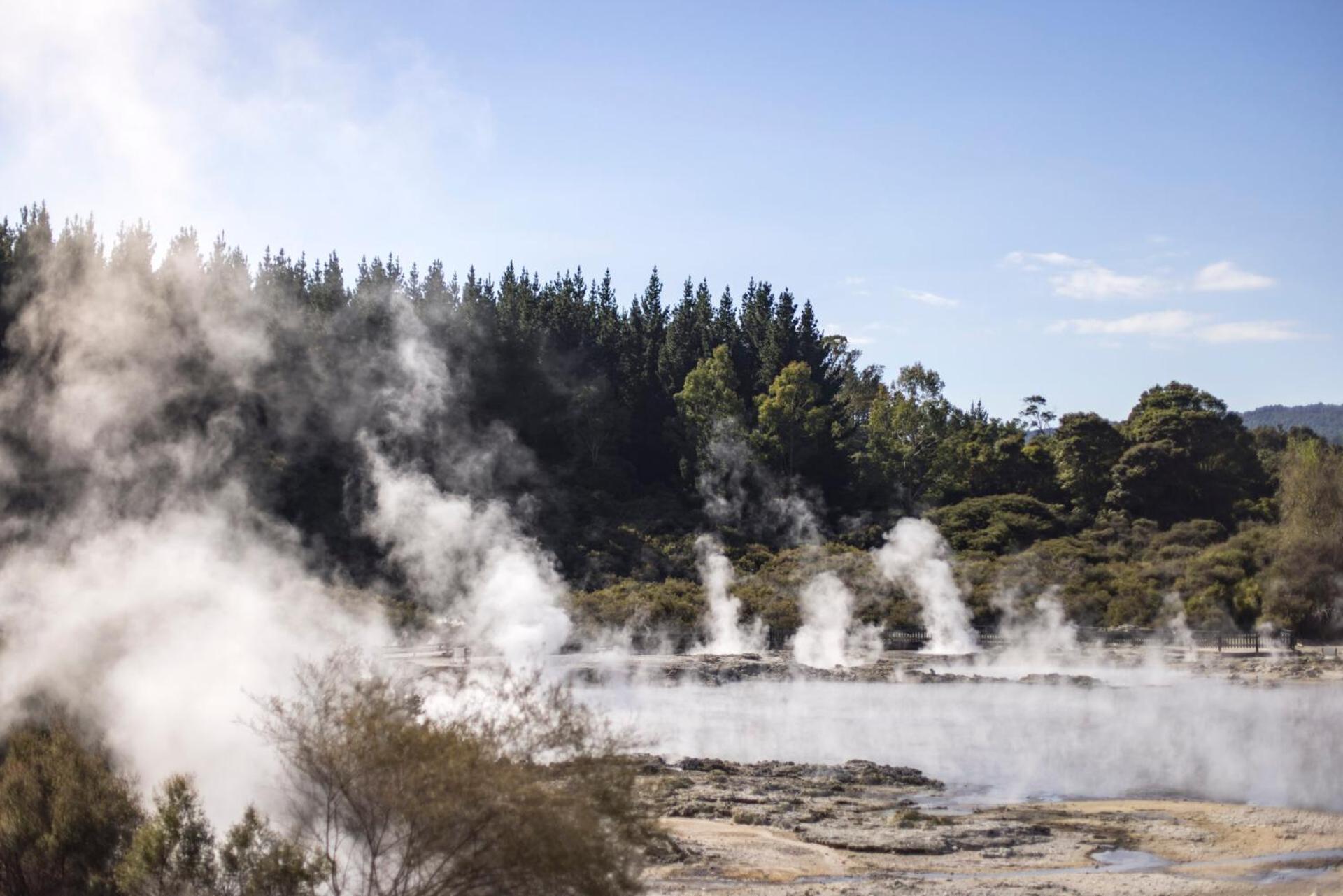 Tasman Holiday Parks - Rotorua Dış mekan fotoğraf