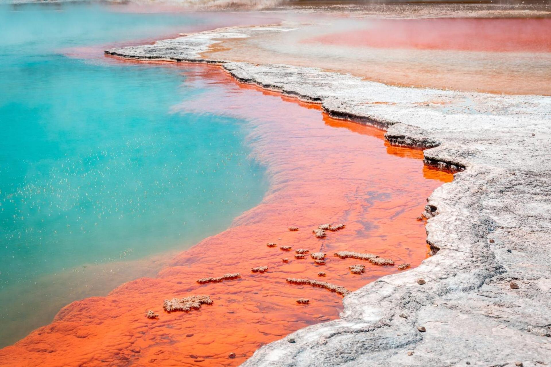 Tasman Holiday Parks - Rotorua Dış mekan fotoğraf
